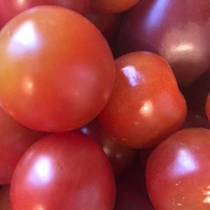 Meet your Posher, Blake